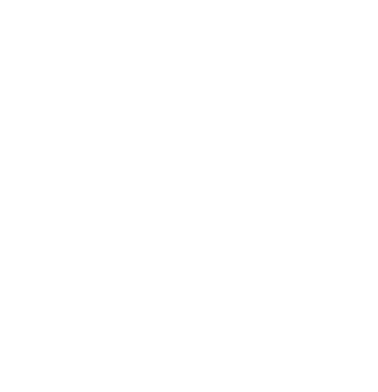 Digitales MV